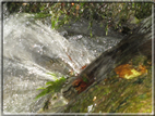 foto Cascate in Val Carazzagno